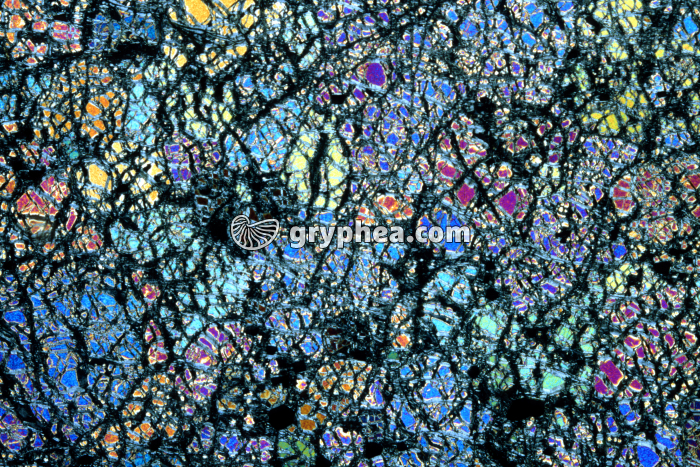 Dunite x3,5 LPA - gryphea.com